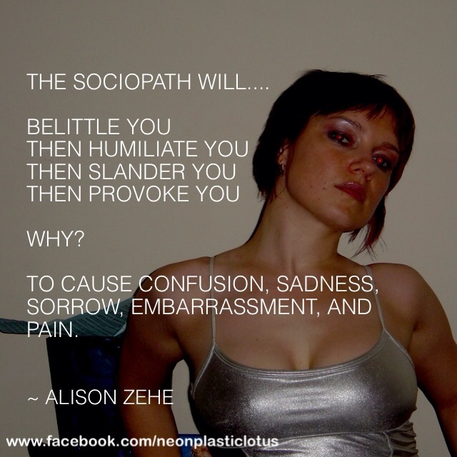 Narcissistic Sociopath Traits - Ania Ziolkowksa / Ania Anicca on 